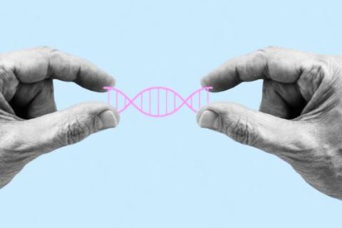 Two hands holding a graphic of DNA between the fingers